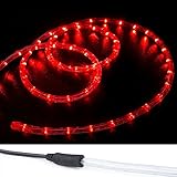 WYZworksレッドpre-assembled LEDロープライト – 2ワイヤクリスマスHoliday Decorationインドア/アウトドア照明| UL & CSA認定