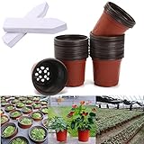 Beito 4'' 50pcs プランター 植木鉢 植木ポット プラスチック 通気性 家庭園芸 植物栽培 ガーデニング