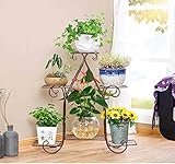 フラワーラック、シンプルアイアン6層リビングルームバルコニーフロアスタイルフラワーポットラックフラワーシェルフサスペンションフラワースタンド ( 色 : ブロンズ , サイズ さいず : 77*21*