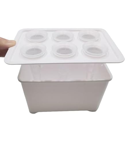 Amazon | しいたけ 種駒すその620号（棒型） 500個入り｜従来品種より