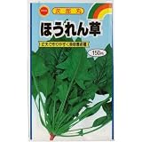 次郎丸ほうれん草 (625)