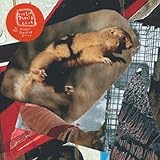 Jasper/Standing Knees [7 inch Analog]