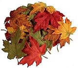 MIx fall color maple leaves - [並行輸入品]