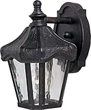 Maxim Lighting 40268WGOB Garden Vivex 1-Light Outdoor Wall Lantern, Oriental Bronze Finish Water Gla