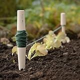 Burgon & Ball プランターガイド(ライン紐)