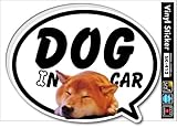 SK-412 DOG IN CAR18 柴犬 ドッグインカー ステッカー 愛犬家の方に!