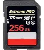 Steam deck 256gb + 256メモリカード 使用時間１０時間ほど 携帯ゲーム機 SteamDeckレビュー[時間を吸い尽くす悪魔