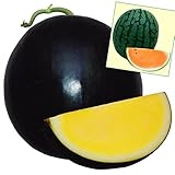 国華園　接木野菜苗　スイカ　種なしムーン＆受粉苗セット　2種4株（各2株）【※発送が国華園からの場合のみ正規品です】