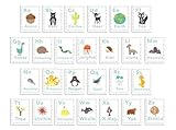 English Alphabet 08x10 Inch Print Wall Cards Alphabet Wall Our World Nature Themed Kid's Wall Art Nu