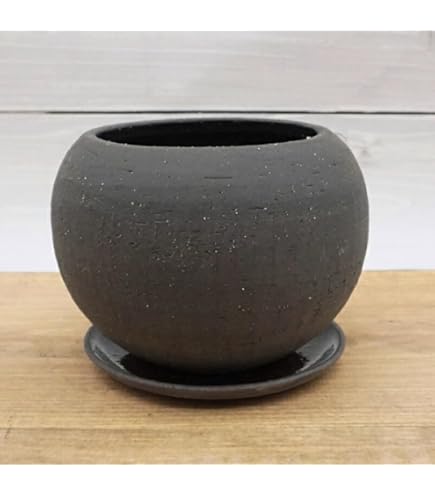 Amazon.co.jp: プランター おしゃれ 軽い テラニアスロー