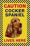 CAUTION COCKER SPANIEL LIVES HERE サインボート：コッカースパニエル 写真 画像 英語 看板 Made in U.K [並行輸入品]