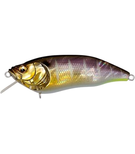 Amazon.co.jp: メガバス(Megabass) ルアー IXI SHAD(アイバイアイ