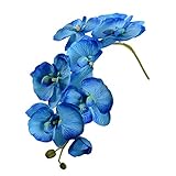 MIOIM 花ヘッド 胡蝶蘭 プリザーブド フラワー 人工 造花 インテリ 枯れない花 花束 飾り 観葉植物 イミテーション