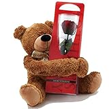 抱っこアニマルズL ブラウン 165-3263-9