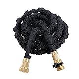 Felji 75 ft Expanding Garden Hose with Black Solid Brass Fitting [並行輸入品]