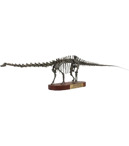 Amazon | Eden Toys 恐竜 頭蓋骨 骨格 トリケラトプス ディロフォ