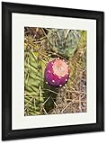 AshleyフレームプリントPrickly Pear、壁アートホーム装飾、ag6498175 40x34 Black Frame 6498175-AFPP1-BC24