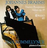 21�̃n���K���[����