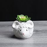 Liebeye 陶器鉢 白 植木鉢 動物形 羊 多肉植物 サボテン鉢 花鉢 容器 陶器 プランター 小型 ミニ 可愛い Sheep 8*9.2*9.3cm