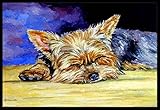 High Quality 7357JMAT Yorkie Taking a Nap Indoor or Outdoor Mat, 24 x 36, Multicolor