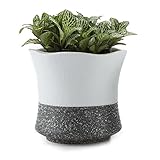 T4U 9.5CM 陶器ミ二植木鉢 韓国風の雪花シリーズNO.5 多肉植物 サボテン鉢 フラワーポット プランター容器