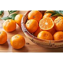みかん様 Amazon.co.jp: みかん 幻の極早生品種！柑橘の鬼がつくる 愛媛