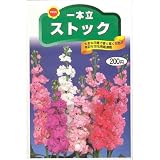 一本立 ストック (945)