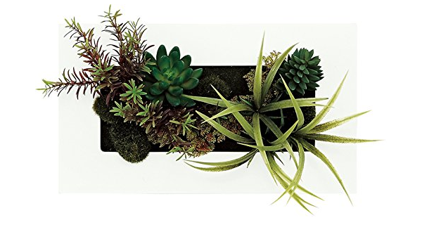 Amazon ユーパワー アートフレーム 植物 花 グリーン サイズ x35xd約15cm アートフレーム ポスター オンライン通販