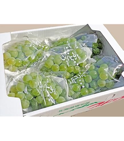 Amazon.co.jp: 【Amazon.co.jp限定】【2026年先行予約】 NAKANO GRAPE