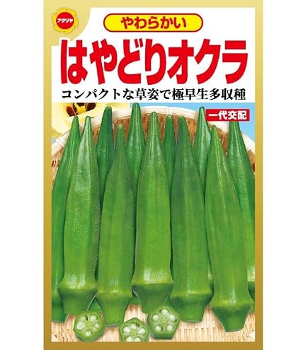 Amazon.co.jp: 〈1000粒〉オクラ種【 アーリーファイブ 】タキイ種苗