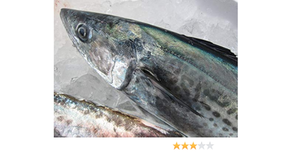 Amazon お刺身用 サワラ 大 3kg以上 山陰境港産 Asksanin 鮮魚 通販