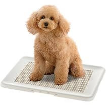 Amazon | リッチェル 木製スライドペットサークル レギュラー