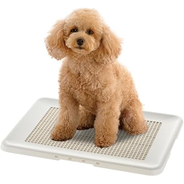 Amazon.co.jp 売れ筋ランキング: 犬用トイレトレー の中で最も人気の