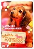 �����EXPRESS