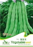 【送料無料】3パックスナップ文字列豆の種子の60、OrganicVegetableキンググリーンC040