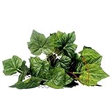 SONONIA 2セット入り　両生類　爬虫類　飼育ケース内装　ビバリウム　葡萄木　アイビー　人工植物　装飾　飾り　