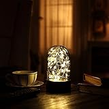 Decorative Fairy Night Light XY Decor 6.5 Dual Power Operated Table/Desk Lamp with Warm White Star S
