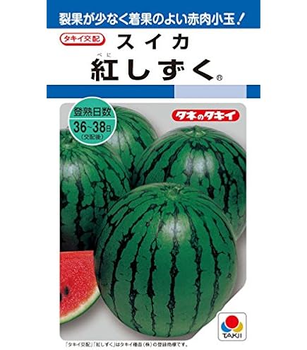 Amazon.co.jp: 接木野菜苗 大玉スイカ 接木F1羅皇ザ・スウィート 2株