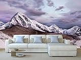 ヒマラヤの山々の 3D の壁画写真の壁紙装飾の大きな紙の壁