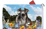 SchnauzerグレーUncropped – Best of Breed Dog Breedメールボックスカバー