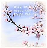 CT _ 30863 Patricia Sanders Creations – Inspirational Zen Cherry Blossom Rumiフローラル知恵引用符 – タイル 4-Inch