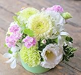 アレンジメントフラワー 生花 ギフト Sサイズ イメージ(清楚) 大臣賞受賞デザイナー おまかせアレンジメント