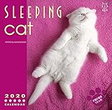 2020 スリーピングキャット板東寛司猫写真壁掛けカレンダー