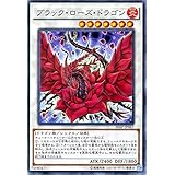 ブラック・ローズ・ドラゴン ノーマル 遊戯王 デュエリストパック －レジェンドデュエリスト編4 dp21-jp028
