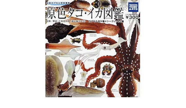 超新作 原色タコ イカ図鑑 10種 タカラトミーアーツ その他 Www Cescor It