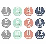 ベビー マタニティー マンスリー 撮影 フォトステッカー 記念 写真 ステッカー シール セット (マルチ)