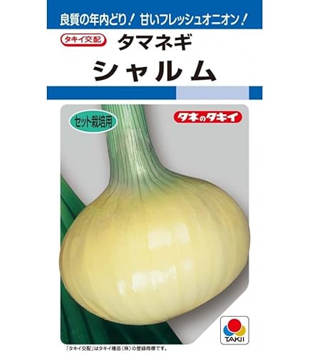 Amazon.co.jp: カネコ種苗 超極早生タマネギ 浜笑 種子 20ml : DIY