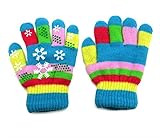 panda family(パンダファミリー) ボーダー柄 雪の結晶 ベビー用 5本指 手袋 Bタイプ スカイ