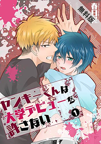 ヤンキーくんは大学デ