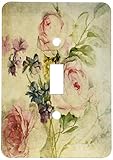 3dRose lsp_173503_1 Vintage Florals Grunge By Angelandspot - Single Toggle Switch